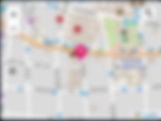 Loading Map